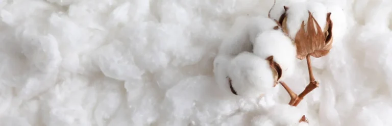 cotton-fiber